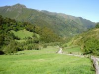 Lo más destacado de la naturaleza de Laciana