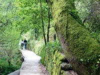 Respira aire puro en las zonas rurales