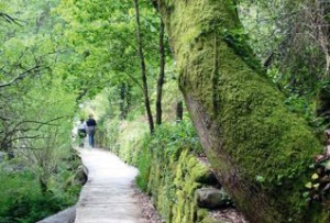 Senderismo en la sierra de Ancares. Imagen cortesía de losancares.es