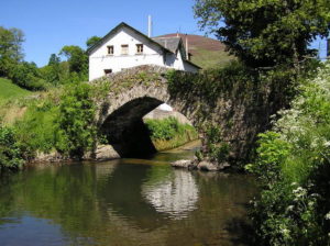 Laciana. Imagen cortesía de www.tintorerialaciana.com