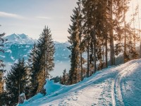 Primavera en Laciana con nieve