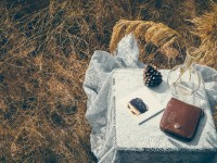 Por qué elegir el turismo rural en verano