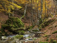 El turismo rural en León se consolida