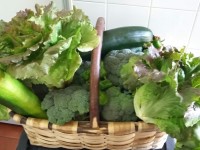 Un hotel rural de León en el que se ofrecen producen productos naturales