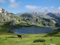 Picos de Europa cumple 100 años
