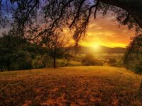 7 razones únicas para venir al Hotel Rural La Bolera
