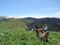 Ruta a caballo en Robles de Laciana