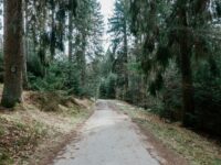 Disfruta de una ruta por la senda del Oro de El Bierzo