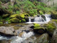 Primavera en Laciana: naturaleza, rutas, gastronomía, esquí y mucho más