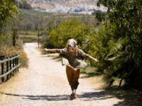Recomendaciones para un viaje rural a Laciana