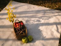 Picnic en Laciana